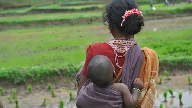 छत्तीसगढ़ आदिवासी