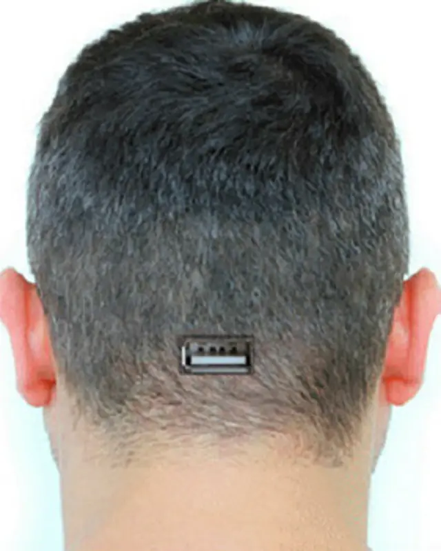 दिमाग में सिलकॉन