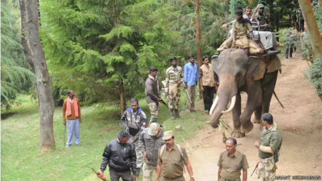 آدم خور کا سامنا کرنے کے لیے تین تربیت یافتہ ہاتھیوں پر ماہر نشانے باز افراد کو تعینات کیا گیا ہے