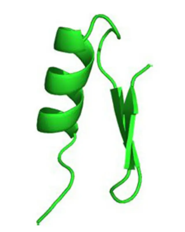 Modelo en 3D de la Navitoxina