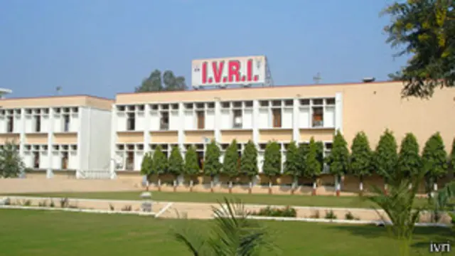 आईवीआरआई, बरेली