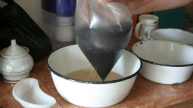 Опийный мак