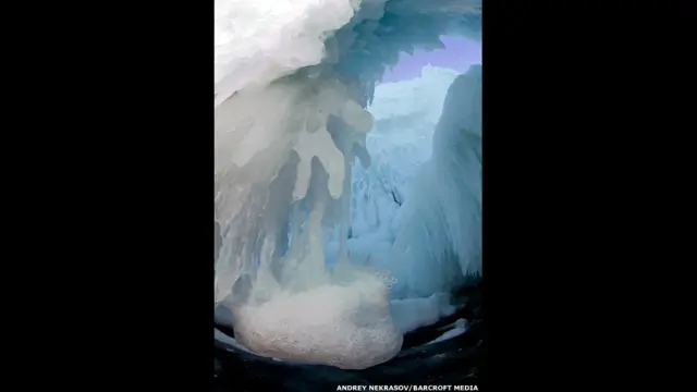 बैकल झील के किनारे बनी बर्फ की आकृतियाँ. ऐंड्रे नेकरासोव