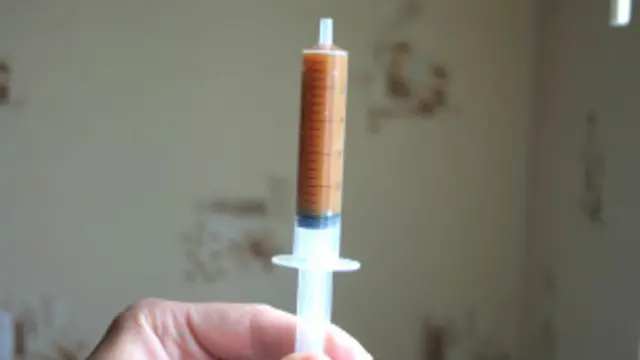 Опийный мак