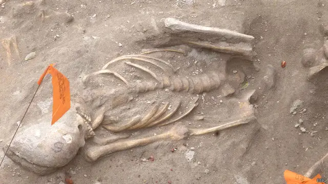 තිරුකේතීස්වරම් සමූහ මිනී වලේ තිබී හමු වූ මිනිස් ඇටසැකිල්ලක් 