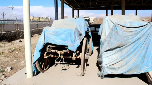 یو شمېر توکي د موزیم انګړ کې تر شنه اسمان لاندې پراته دي.