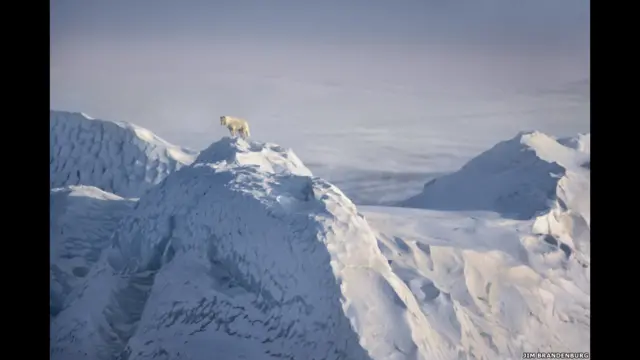 جزیره الیسمیر، کانادا، از جیم براندنبرگ