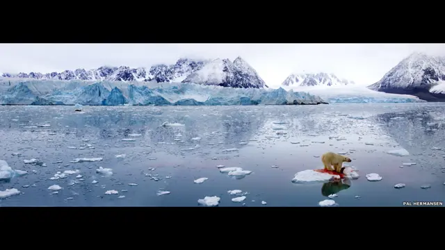 'The Masters of Nature Photography', publicado pelo Museucasimiro estrela betHistória Naturalcasimiro estrela betLondres, é composto por uma seleçãocasimiro estrela betfotos impressionantes feitas ao longocasimiro estrela betmaiscasimiro estrela bettrinta anos.