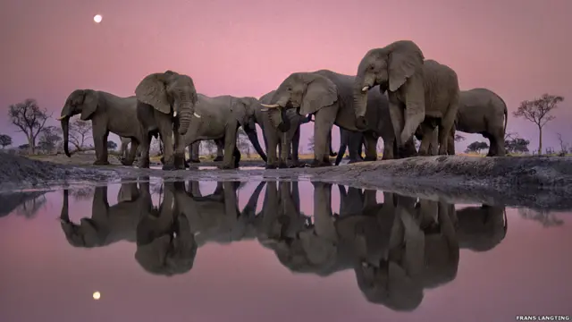 'The Masters of Nature Photography', publicado pelo Museucasimiro estrela betHistória Naturalcasimiro estrela betLondres, é composto por uma seleçãocasimiro estrela betfotos impressionantes feitas ao longocasimiro estrela betmaiscasimiro estrela bettrinta anos.