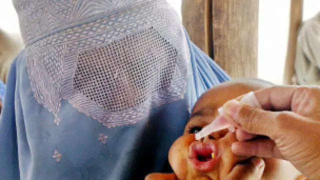 پشاور شہر میں یہ مہم حالیہ دنوں میں دوسری بار موخر کی جا رہی ہے