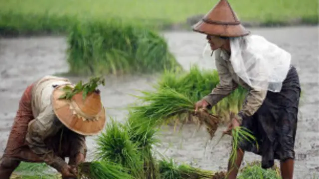 အစိုးရနဲ့ လွှတ်တော်တို့ ဖြေရှင်းပေး နေမှုဟာ မထိ ရောက်တဲ့ သဘောလား