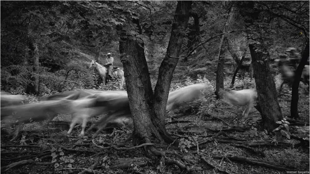Fotógrafo porto-riquenho registra homens e mulheres que atravessam montanhas transportando gado.