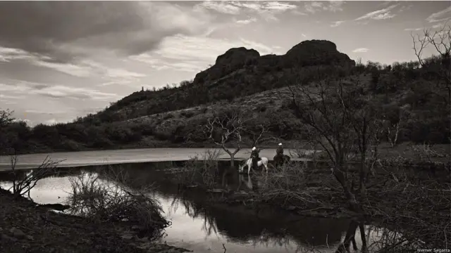 Fotógrafo porto-riquenho registra homens e mulheres que atravessam montanhas transportando gado.