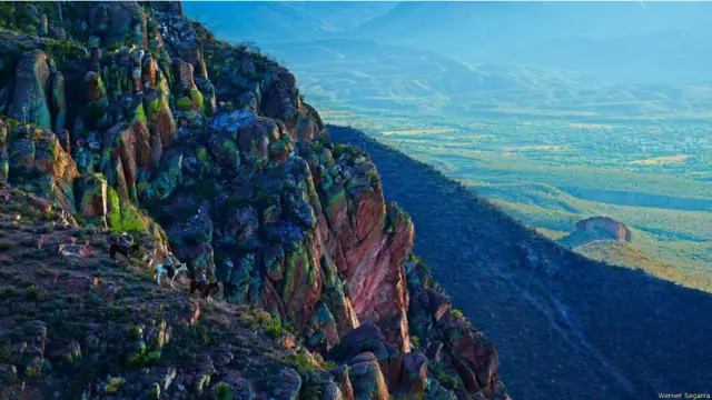 Fotógrafo porto-riquenho registra homens e mulheres que atravessam montanhas transportando gado.