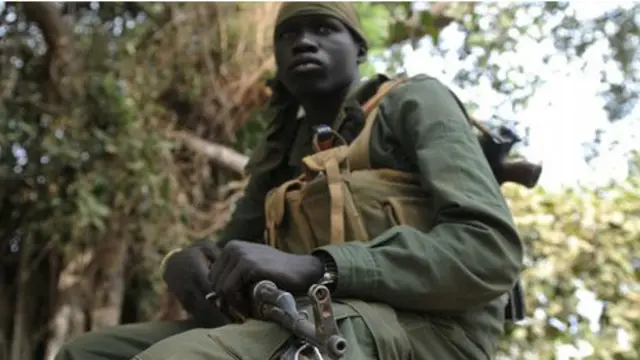 جاء الإعلان بعد ايام فقط من سيطرة الجيش على مدينة بور. 