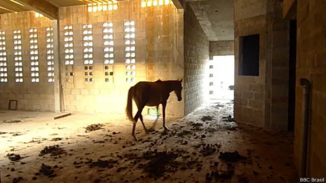 Cavalo dentroestrela bet é confiavelpresídioestrela bet é confiavelconstruçãoestrela bet é confiavelImperatriz