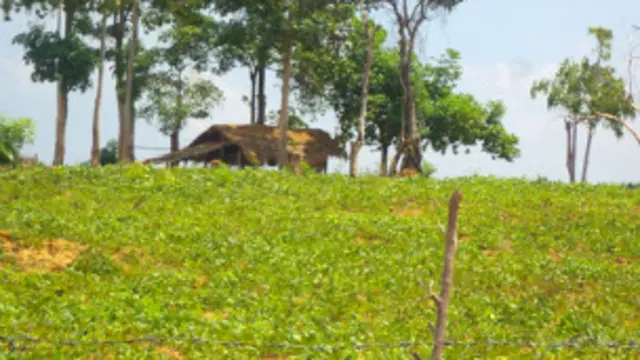 သရက်ဇုန် စီမံကိန်းအတွက် ဆိုပြီး သရက်ပင်တွေ မစိုက်ပဲ လွတ်နေတဲ့အတွက် တောင်သူတွေက မြေတွေ ပြန်လိုချင်နေ