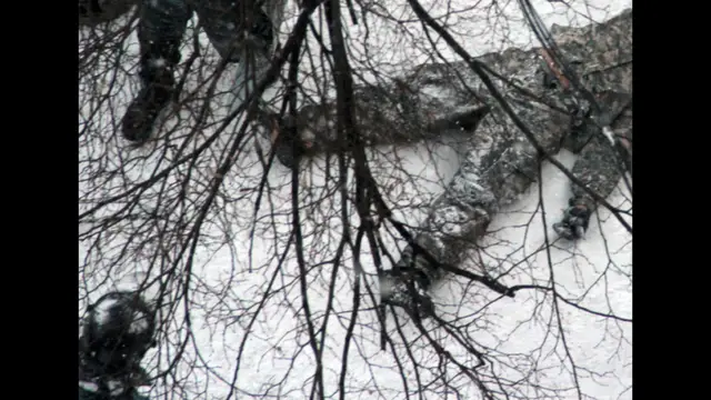 پراسیکیوٹرز نے تصدیق کی ہے کہ فائرنگ کے نتیجے میں دو افراد ہلاک ہوئے ہیں۔ یہ مظاہرے نومبر میں شروع ہوئے جب حکومت نے یورپی یونین کے ساتھ معاہدے کو مسترد کردیا۔ اس تصویر میں پولیس ایک لاش کو گھسیٹتے ہوئے لے جا رہی ہے۔ یہ تصویر بی بی سی کے نامہ نگار نے کھینچی۔