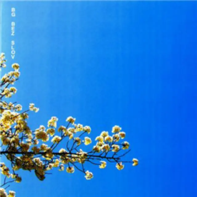 БГ. "Без слов"