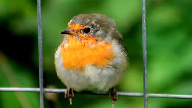 Фото: Андрей, Лондон