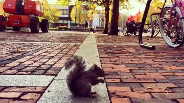 Фото: Гульвира Монтаева 