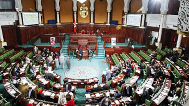 يتكون المجلس التأسيسي من 217 عضوا