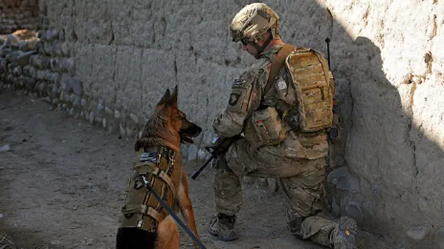 رابرت گیتس اذعان می‌کند که عملیات‌های نظامی آمریکایی‌ها جنبه‌های دیگری نیز به جز تلفات ملکی داشت که باعث نارضایتی مردم عادی و عصبانیت رئیس جمهورکرزی می‌شد