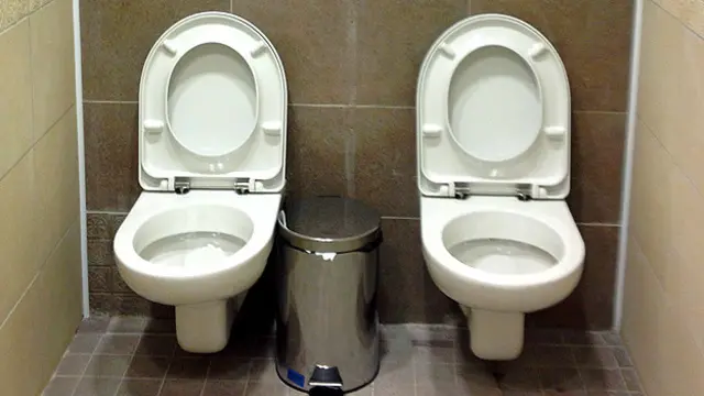 अनूठा शौचालय