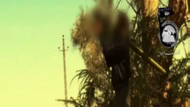 جماعة أنصار بيت المقدس تنشر مقطع فيديو لإسقاط مروحية مصرية في سيناء.