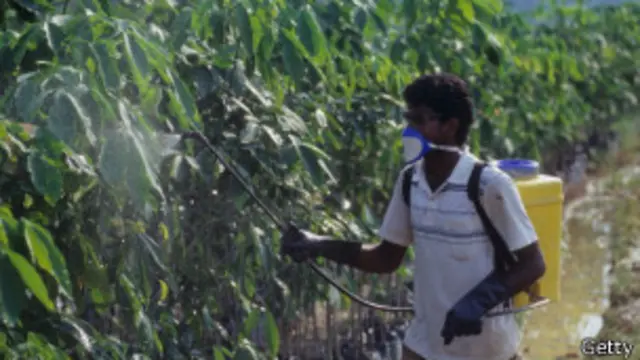 ربطت الدراسة الجديدة بين التعرض للمبيدات الحشرية والإصابة بالزهايمر