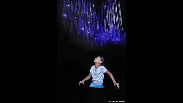 रोशनी वाले केंचुए