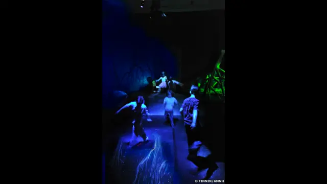 रोशनी भरा समुद्री किनारा 