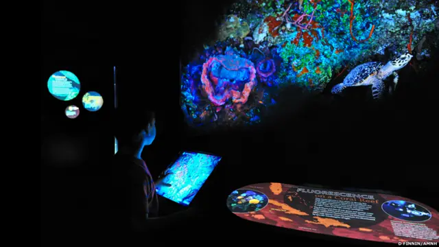 रोशनी से भरा समुद्री किनारा 