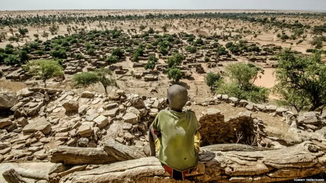 माली, टॉमी ट्रेंचार्ड 