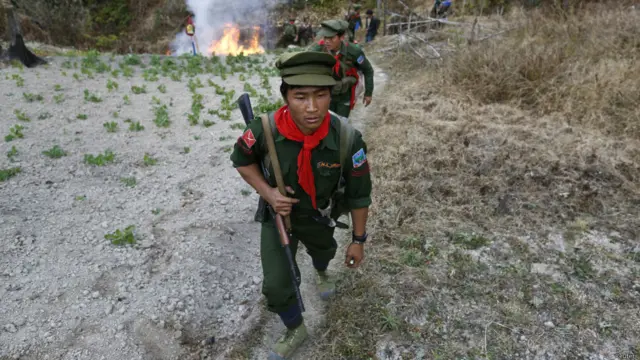बर्मा के शान प्रांत में अफ़ीम की खेती