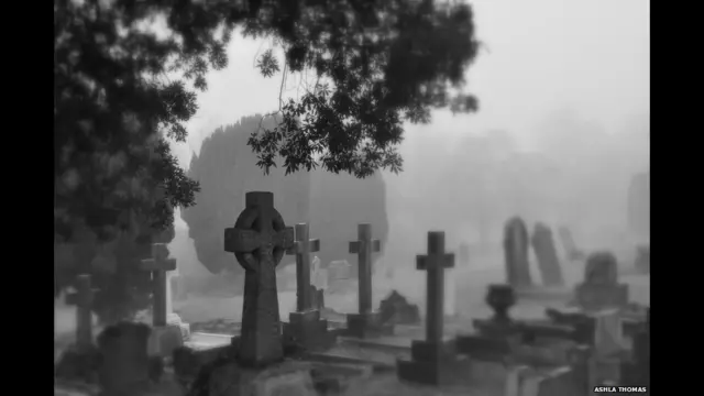 बीबीसी पाठकों की भेजी तस्वीरें, कोहरे में लिपटा कब्रिस्तान