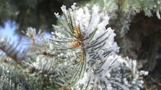 Фото: Елена Наимзада