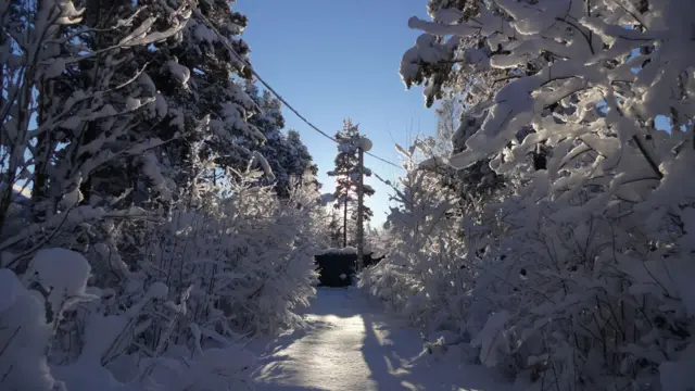 Фото: Максим