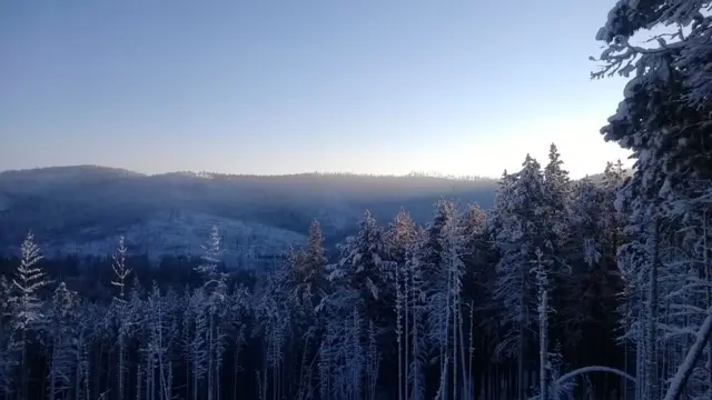 Фото: Татьяна