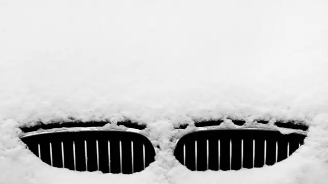 Фото: Леонид Евтеев