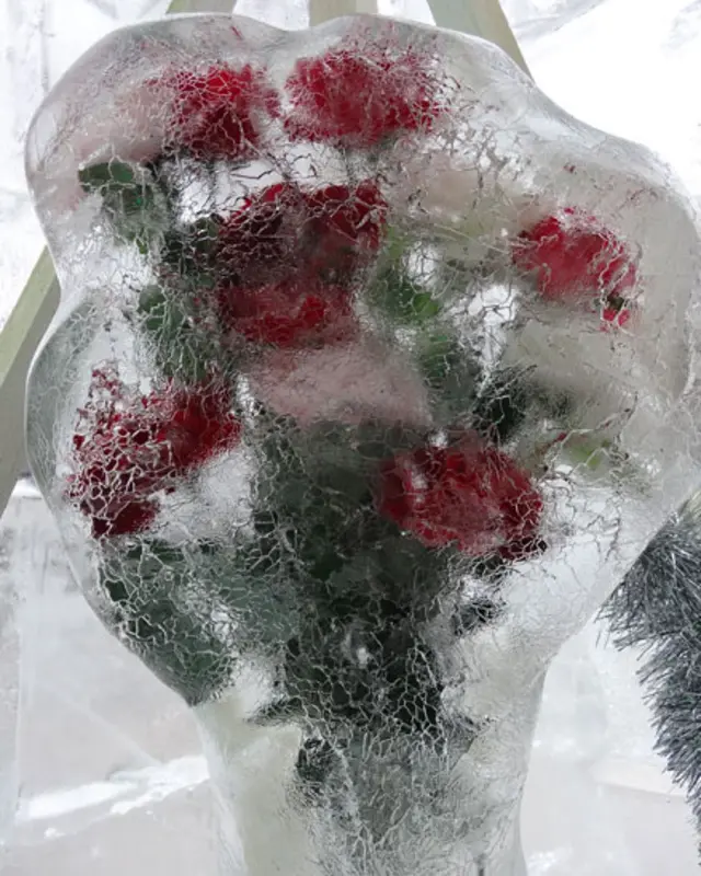 Фото: Алекс Иванчук