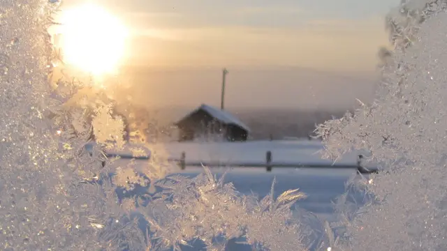 Фото: Елена Холопова