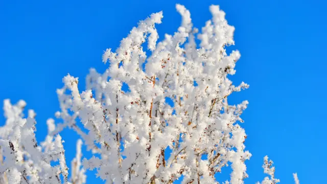 Фото: Борис Карслян