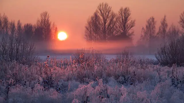 Фото: Еугениус
