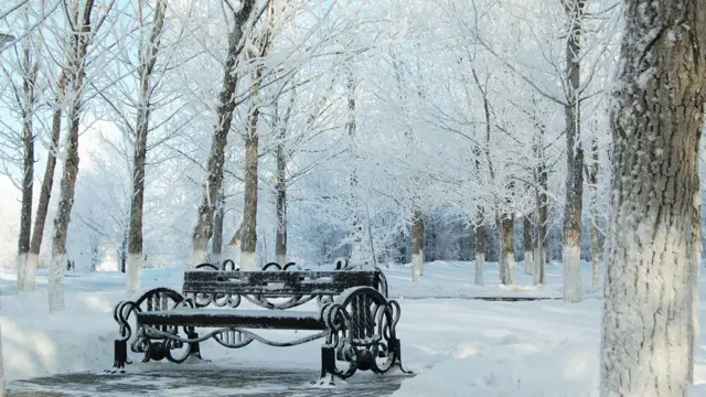 Фото: Наталья