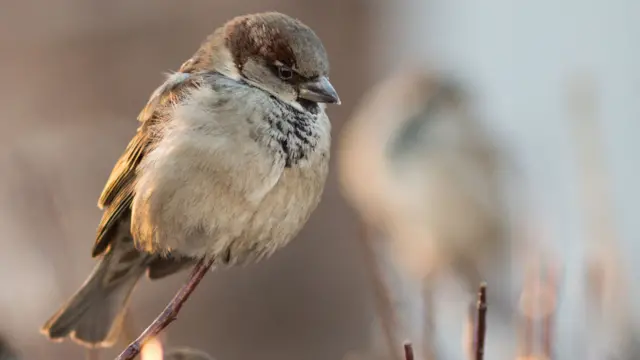 Фото: Евгений