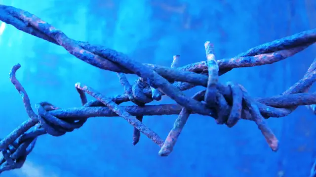 Фото: Гузеле Иванова