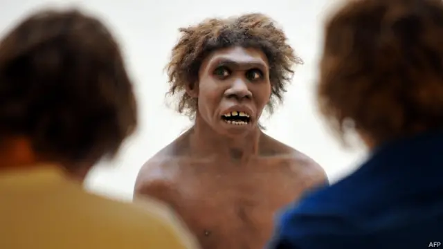Manusia Neanderthal diyakini mengalami kepunahan secara bertahap.