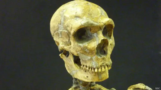Esqueleto de homem neandertal | Foto: BBC