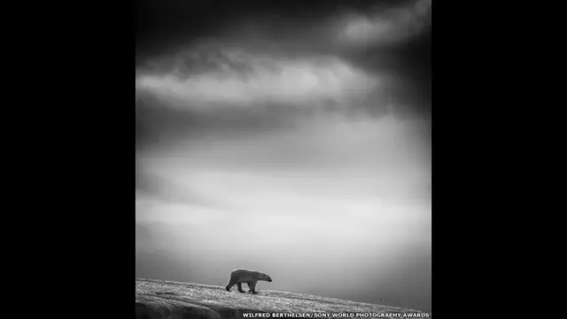 فوٹو گرافر برتھیلسین نے ناروے کے علاقے سوالبارڈ سے بلیک اینڈ وائٹ تصاویر بھیجیں۔
